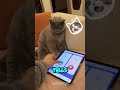 Owner Shows The Cat Whose Boss 🤣#viralvideo #shorts