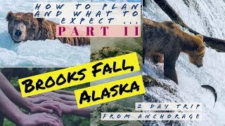 How to visit \& plan for Brooks Falls, Alaska - PART 2