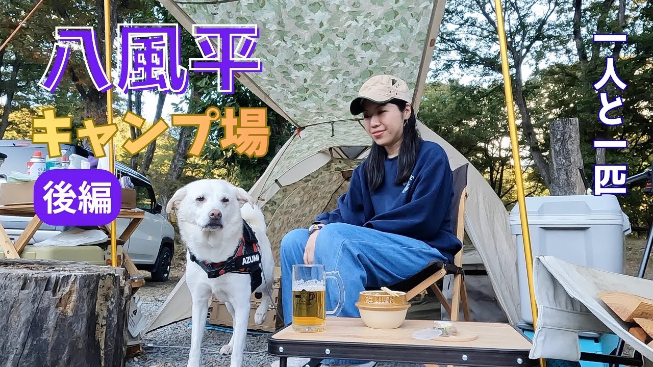 【八風平キャンプ場後編】生ラムステーキとハイボールがある幸せを噛みしめる【一人と一匹】