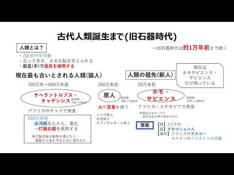 中学社会歴史 猿人原人新人 Youtube 中学社会歴史 猿人原人新人 Youtube