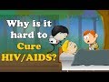 Why is it hard to Cure HIV / AIDS? + more videos | #aumsum #kids #science #education #children