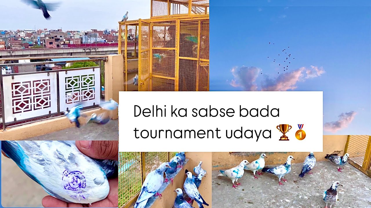 Delhi ka sabse bada tournament udaya 🏆❤️🥇👍