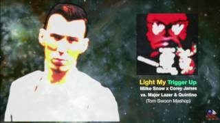 Light My Trigger Up (Tom Swoon Mashup)