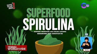 Superfood na spirulina, ano nga ba ang benepisyo sa katawan? | Dapat Alam Mo!