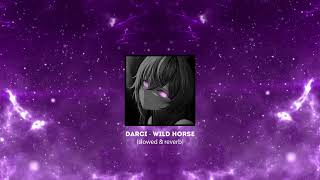 Darci - Wild Horse Slowed & Reverb
