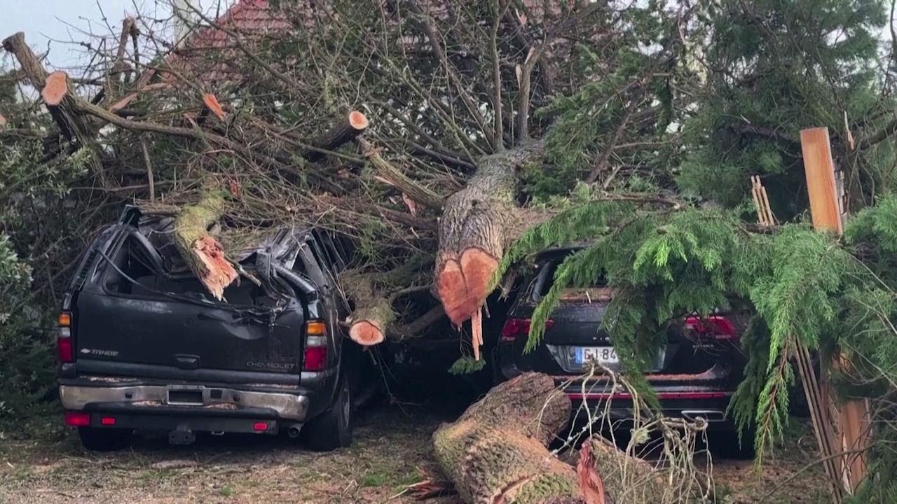 Francia, alberi sradicati e auto distrutte: i danni causati dal passaggio della tempesta Ciaran