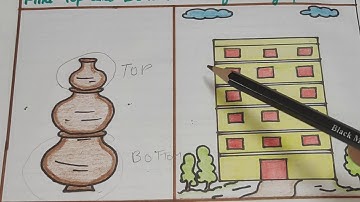 Class-1 Chapter-1 Shape and Space (Top - Bottom)