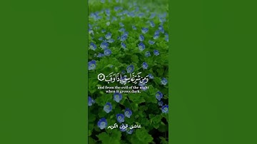 القران الكريم/سوره الفلق/راحه نفسيه واطمأنينه 🌹🌹