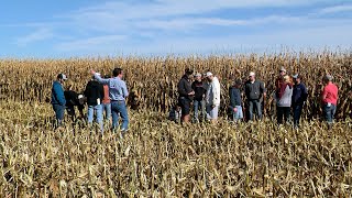 Students in cornfield