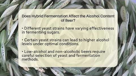 Does Hybrid Fermentation Affect the Alcohol Content of Beer? | The Pint Guy