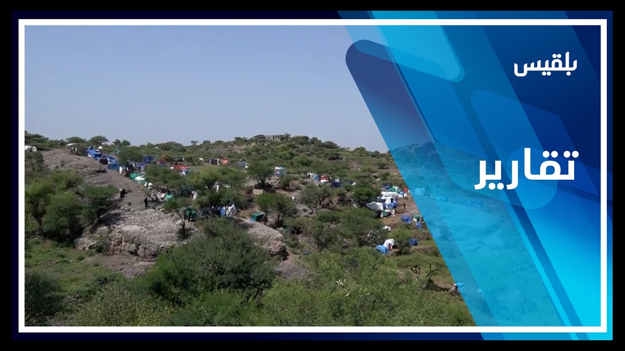 محافظة تعز.. كاميرا بلقيس توثق معاناة أكثر من 400 نازح في مديرية مقبنة | تقرير: أمل منصور