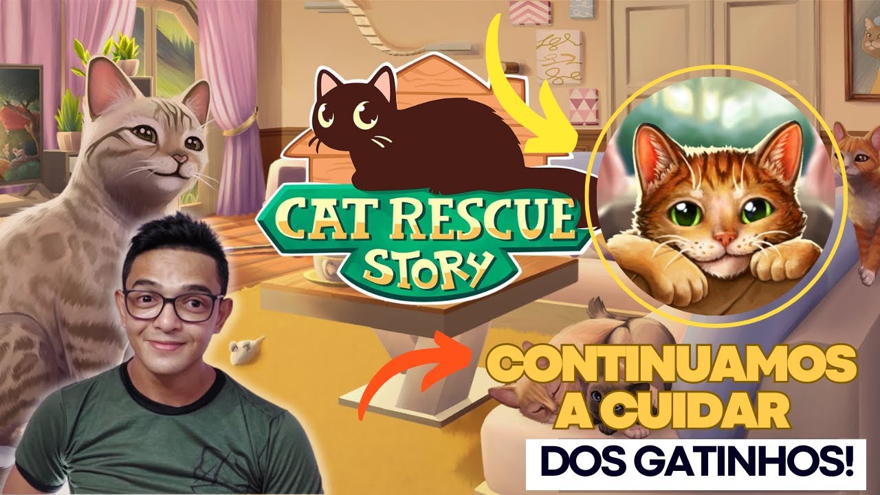 Continuamos a cuidar dos Gatinhos, cat rescue story. 