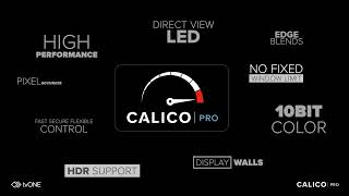 CALICO PRO Video Processor CALICO PRO Video Processor