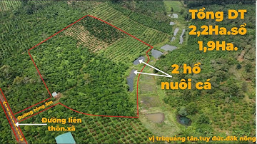 Bán đất cafe và trái cây tại đăk nông.DT 2,2Ha. Giá 1tỷ350tr. LH 0769466720. ZaLo 0337394879.