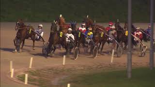 Vidéo de la course PMU CHAMPIONNAT D'HIVER (FINALE TROTTEUR FRANCAIS LADY CHALLENGE)