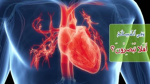 💙 quran اجمل حالات واتس اب دينية مؤثرة قران كريم بصوت جميل جدا جدا 💓 ايات قرانية  قصيرة وفيديو معبر