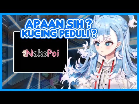 [ Hololive sub indo ] Kobo yg gk tau kucing peduli,seiso !!