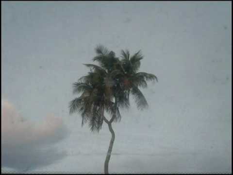 Manu Kai Niu - Kaati Fifita