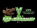 Lab ratzilla  giant lab rat puppet from vfxcreatescom