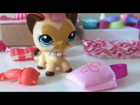 LPS: Messy Room! (Skit)