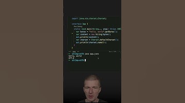 Strings, Default Charsets and UTF-8 #java #shorts #coding #airhacks