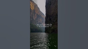 وقال ربكم ادعوني أستجب لكم#ماهر_المعيقلي#راحة_نفسية #explore #quran #تلاوة_خاشعة#fyp#viralshort