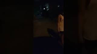 a713h5 | Vlog | video 20171025 191053 | Poopie Dog and Owner
