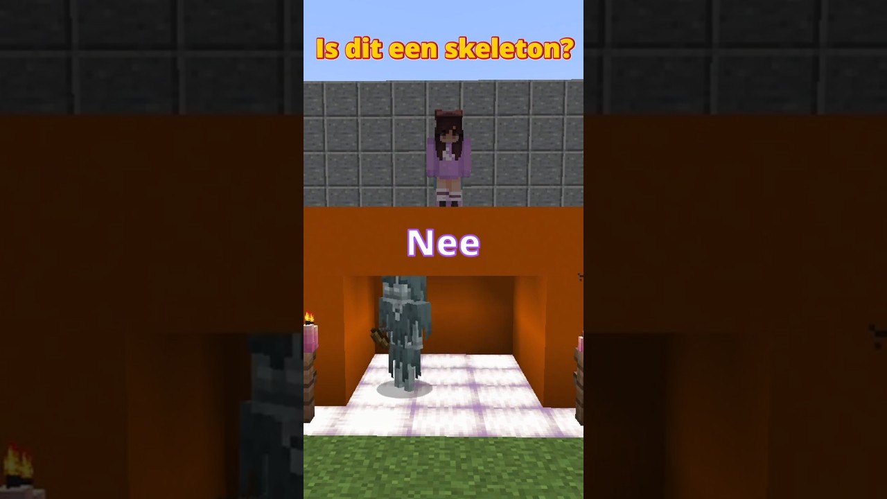 1 goed 2 fout⁉️🤔 