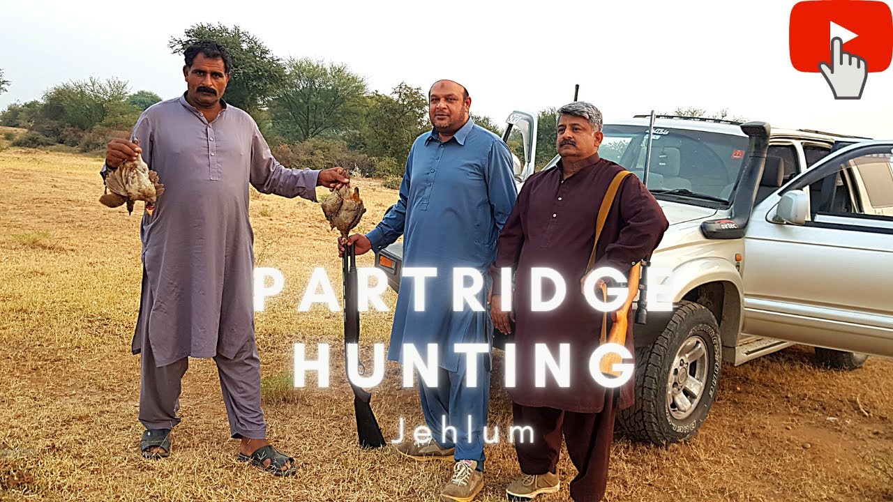 Partridge Hunting 2021 I Teetar I Jehlum I Hills