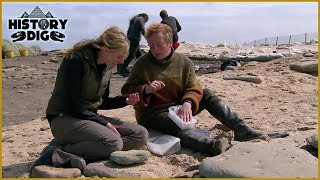 Britain’s Oldest Secrets Unearthed - Archaeology Reveals a Lost World