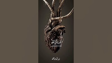 « فويل للقاسية قلوبهم من ذكر الله » سورة الزمر || تلاوة خاشعة 🎧 ♥ || ماهر المعيقلي ||