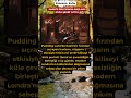 FIRINDA BAŞLADI! KOCA ŞEHRİ YUTTU!
