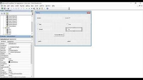Excel VBA Tutorial for Beginners 66 - Frames in MS Excel VBA