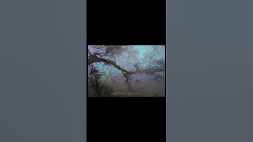 وَلَأَجْرُ الْآخِرَةِ خَيرٌ للّذِينَ آمَنُوا وَكَانُوا يَتّقُونَ | عبد الباسط عبد الصمد | سورة يوسف