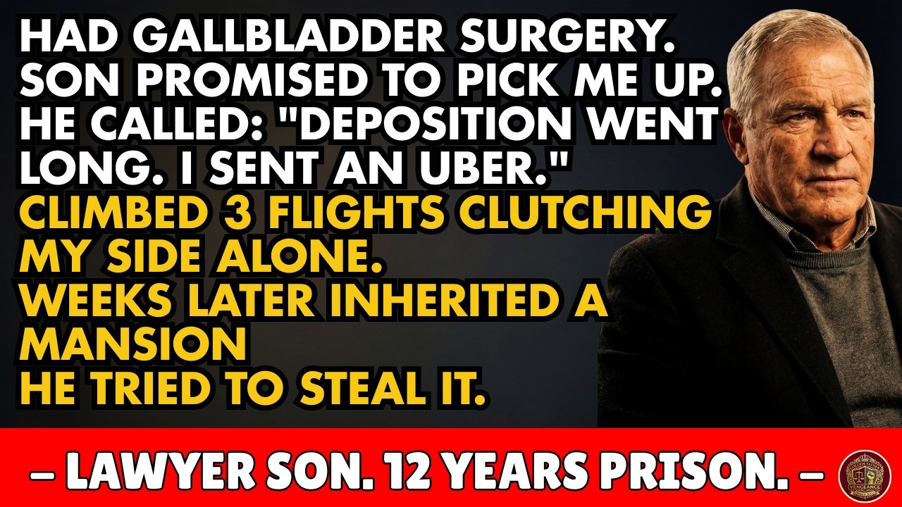 My Son Sent An Uber To Pick Me Up From Surgery Instead Of Coming Himself. I Inherited A Mansion...