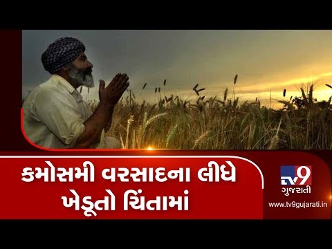 Unseasonal rain in parts of Chhota Udaipur left farmers tensed | Tv9GujaratiNews