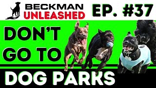 Why I am Done with Dog Parks! Tips to keep your dog safe if you decide to go and what to avoid.