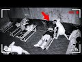 110 MOMENTOS INCRÍVEIS GRAVADOS PELAS CÂMERAS DE VIGILÂNCIA