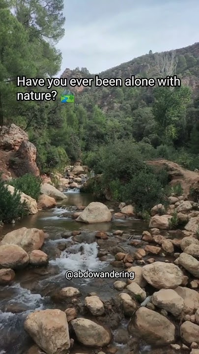 Can You Travel Alone travelblogger travelingram fyp fyp can-you-travel-alone-travelblogger-travelingram-fyp-fyp