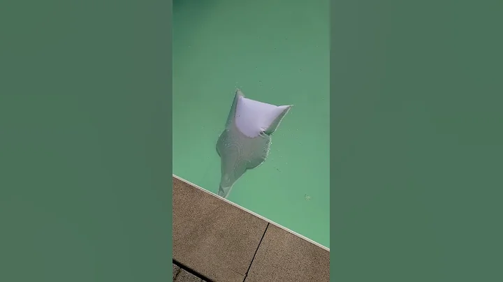 How To Clean a Cloudy Pool - Cloudy Swimming Pool Water