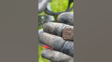 Minelab Manticore 2D Screen & Tone for Small Piece of Flat Iron