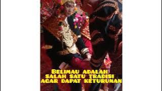 BEGINI ADAT PERNIKAHAN RESEPSI OKU SELATAN DANAU RANAU