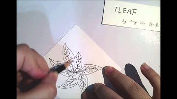 如何畫一般圖樣  How to draw the Tangle Pattern TLEAF