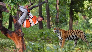 tiger attack man in the forest | tiger attack in jungle, royal bengal tiger attack by Crazy Life Entertainment 16,782 views 1 month ago 6 minutes, 38 seconds