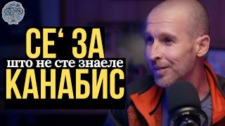 видео: Канабис: ЛЕК или ДРОГА? Лаги или Заговор против вистината? Кое е старото знаење? СЕ' ЗА КАНАБИС #107 картинка: Канабис: ЛЕК или ДРОГА? Лаги или Заговор против вистината? Кое е старото знаење? СЕ' ЗА КАНАБИС #107