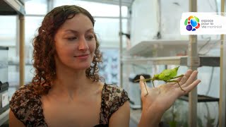 Le métier de technicienne en entomologie à l'Insectarium de Montréal