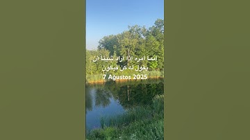 #explore #quran #القرآن_الكريم #سورة_يس #قرآن #محمد_صديق_المنشاوي #قران_بصوت_جميل #قران_حالات_واتس