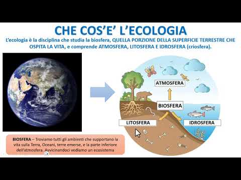 Video: Che cos'è l'ecologia della popolazione negli affari?