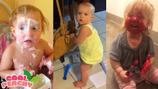 Try Not to Laugh - Funny Naughty Sneaky Babies Steal || Cool Peachy 🍑