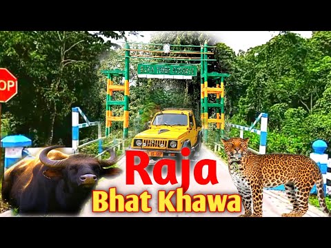 Rajabhatkhawa Museum || Rajabhatkhawa Buxa Jungle Lodge || Rajabhatkhawa